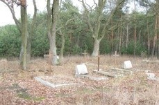 Cmentarz w Domaninie