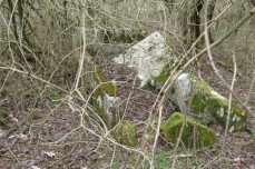 Cmentarz w Drążeniu