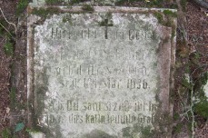 Cmentarz w Ludwikowie