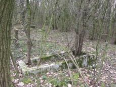 Cmentarz w Milinie