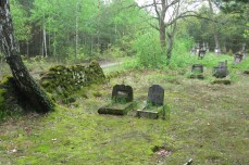Cmentarz w Orlinie Wielkiej