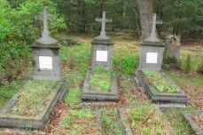 Cmentarz w Orlinie Wielkiej