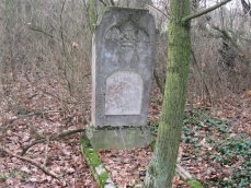 Cmentarz - Paprockie Holendry